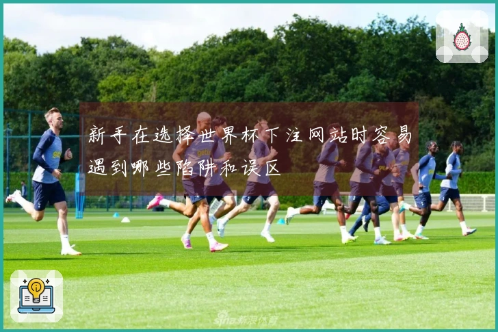 新手在选择世界杯下注网站时容易遇到哪些陷阱和误区